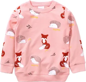 Hongshilian Unisex Kids Cute Cartoon Cotton Sweater Shirt