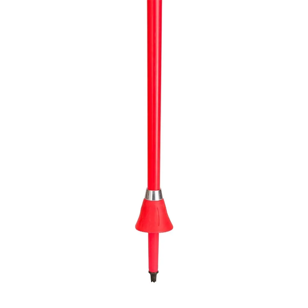 Youth Ski Poles Rossignol Hero GS Jr